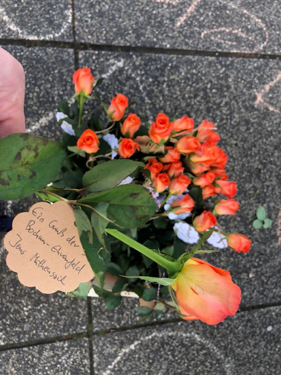 Die Rosen der SPD Bochum-Ehrenfeld auf dem Hans-Schalla-Platz (dem Vorplatz vor'm Schauspielhaus Bochum)