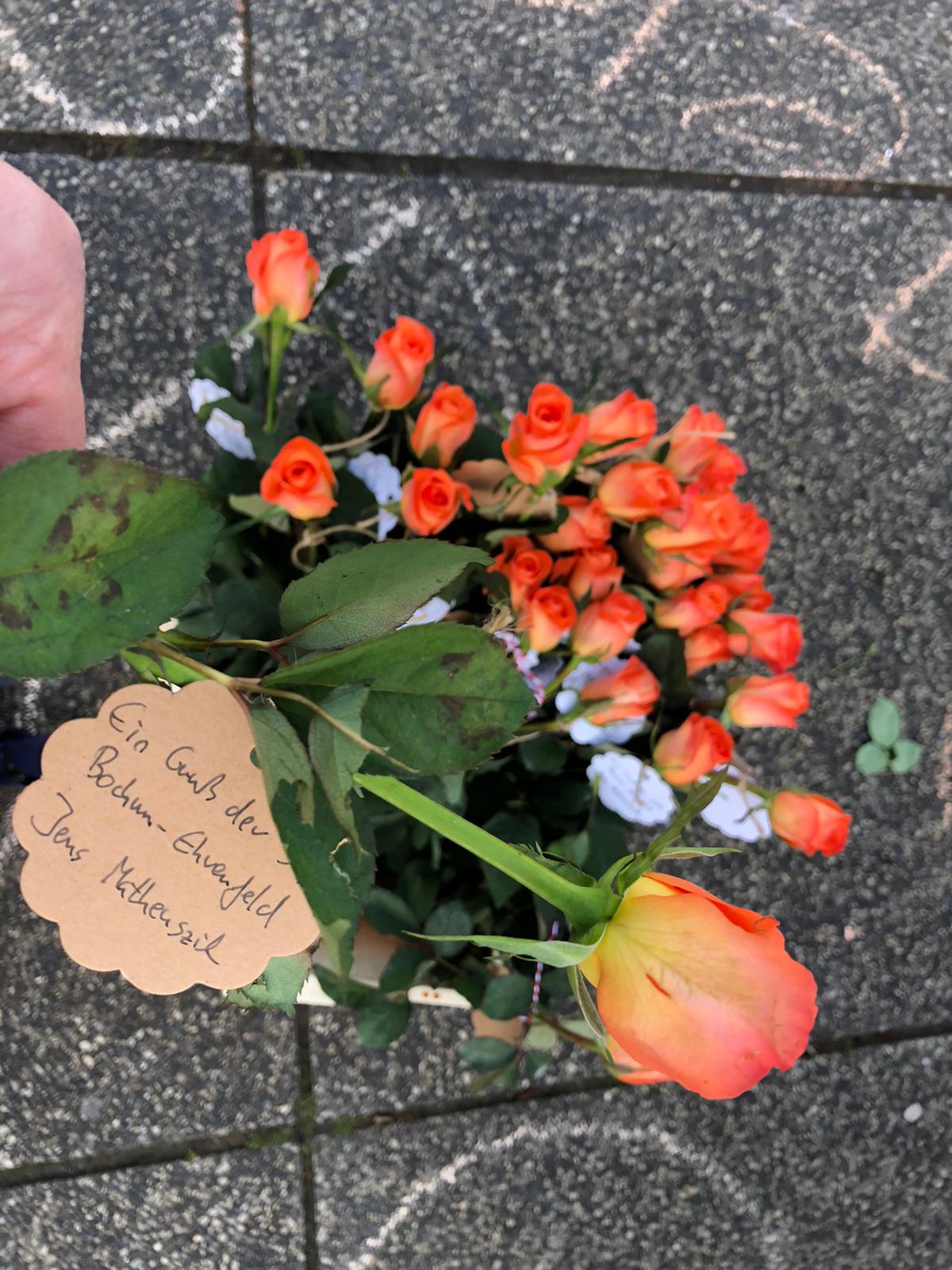 Die Rosen der SPD Bochum-Ehrenfeld auf dem Hans-Schalla-Platz (dem Vorplatz vor'm Schauspielhaus Bochum)