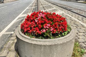 Übergang an der Hattinger Straße (Blumenkübel mit Bepflanzung)