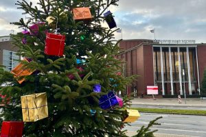 Weihnachtsbaum am Tana-Schanzara-Platz (2023)